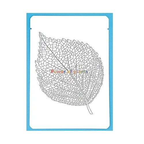 Power of plants 肌と環境