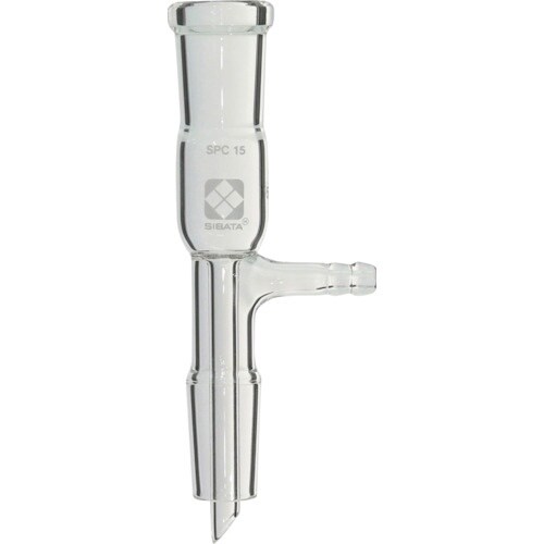 rha`s`@robAǁ@pǁ@Ǖt@r