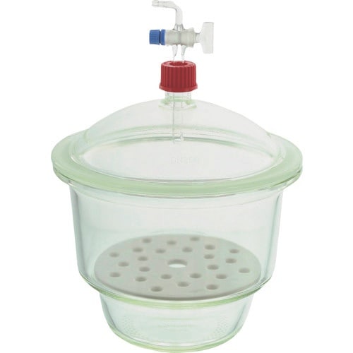 rha`s`@˂fVP[^[@@QOO