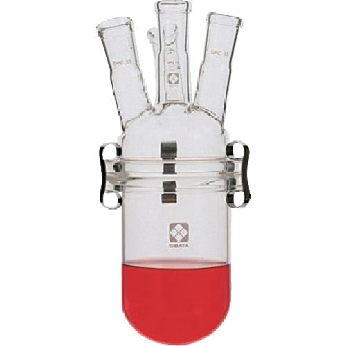 rha`s`@robZputXRZbg@QO