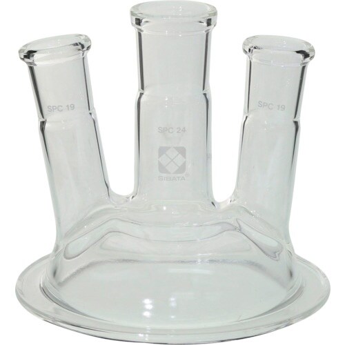 rha`s`@robZpuJo[@WT@R