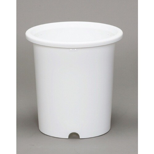 hqhr@PQTOOP@fB[|bg@PO@z