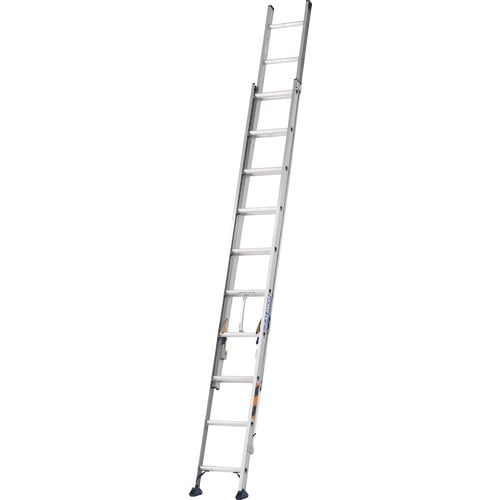 ACR@Aq@SDO@őgpʂPOO