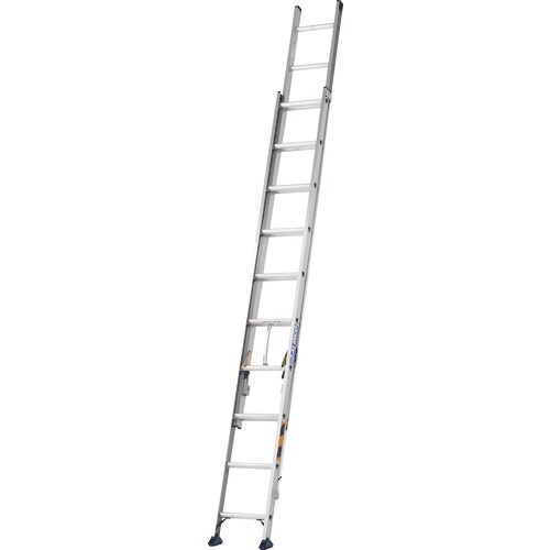 ACR@Aq@TDQ@őgpʂPOO