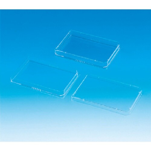 sfj@}CNv[g^V[@ŋۂTO