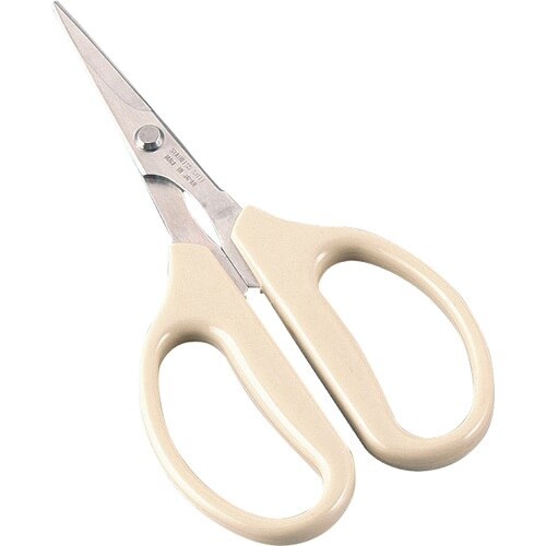 sjf@gcn@Ntg͂݁@g|VVV