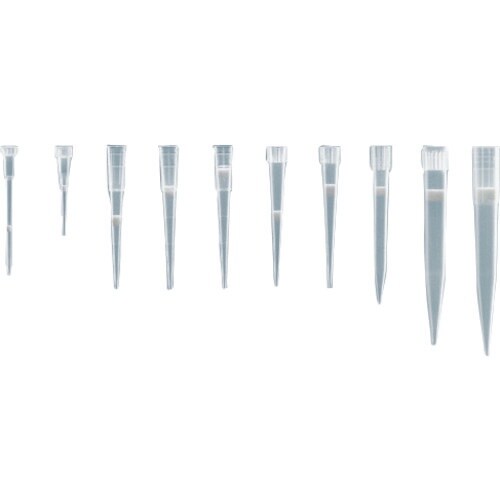 sfj@bN`bv@P|POOʂk@XURT@