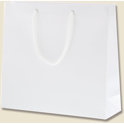 gdhjn@񂰎܁@uCgobO@fl@@