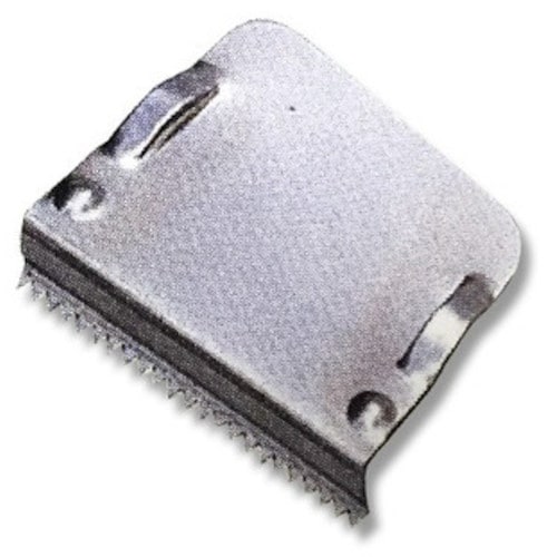 gdhjn@wCR[Jb^[@mnDSp@֐n@