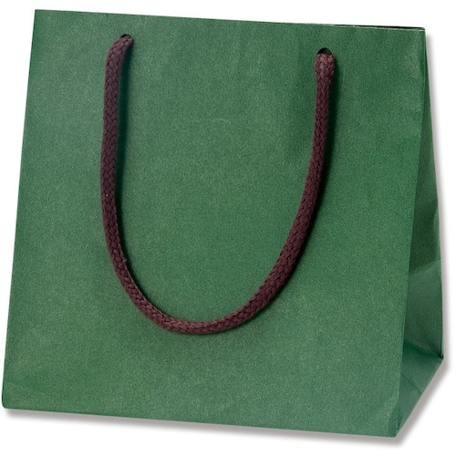 gdhjn@񂰎܁@J[`[obO@O