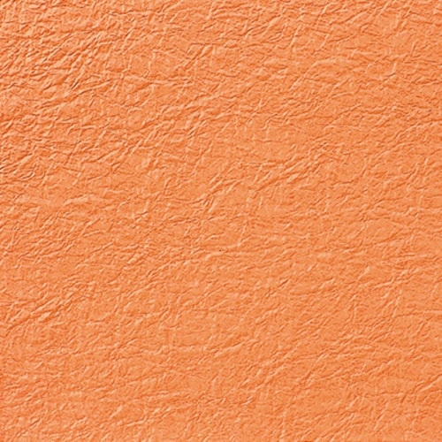 gdhjn@a@̎q@G{X@mnDRT@J