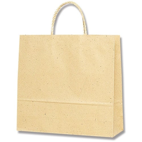 gdhjn@񂰎܁@X[XobO@Rˁ@i`