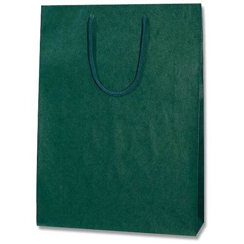 gdhjn@񂰎܁@J[`[obO@O