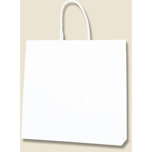 gdhjn@񂰎܁@X[XobO@n@R