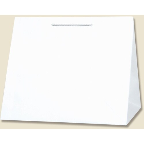 gdhjn@񂰎܁@s^`[obO@N