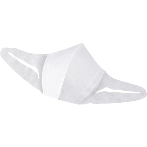 `r@̃}XN@T[WJ^CvE傫߁@