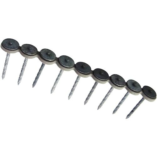 x`g`s`@KogpAXN[PBiP{