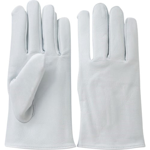 c@vNXg܁@ێw^iYiVvgpj