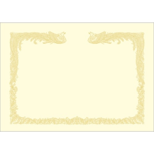 TTK@n`܏p@_Ȃ@N[@`Sc