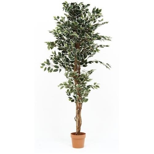 sfՁ@ϗtA@tBJX@PPQS@a