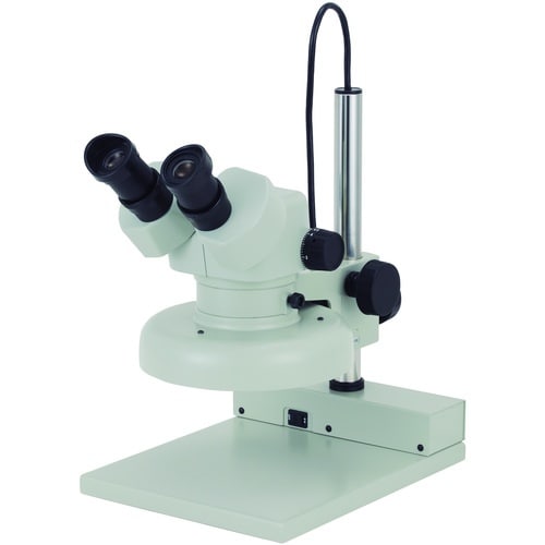 J[g@cry|SSoePT|QUO@̌