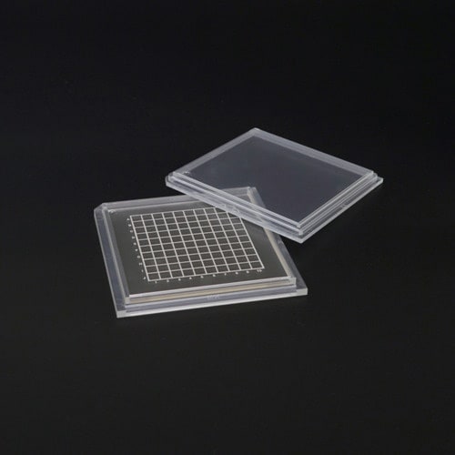 dwrd`k@foCXP[X@Qx[XS