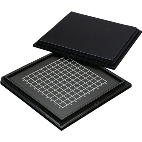 dwrd`k@foCXP[X@Qx[XS