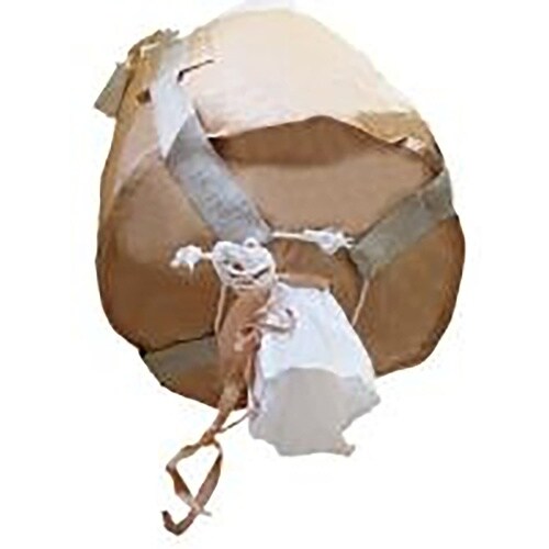 O[NX@ReiobO@ی^@eʂQOOk