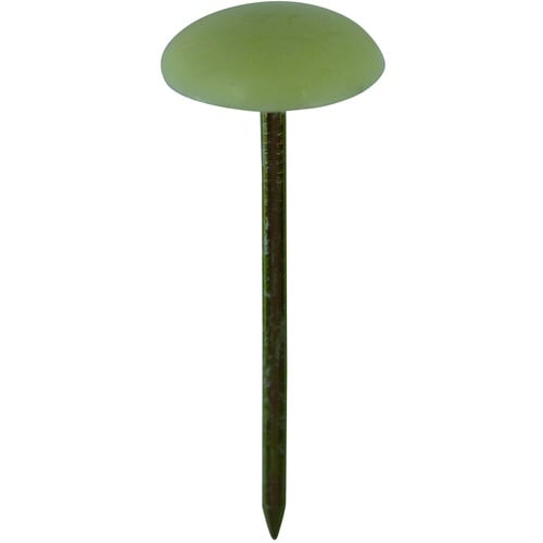 c`hcng`ms@@~e@AC{[@iaF