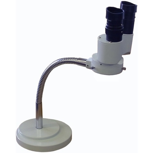 ASt@C@fdWOOOO[gACǒ