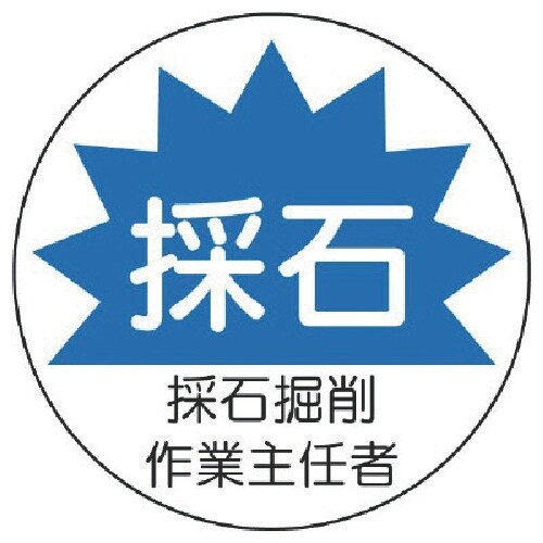 jbg@ƎC҃XebJ[̐Ό@@ooXeb