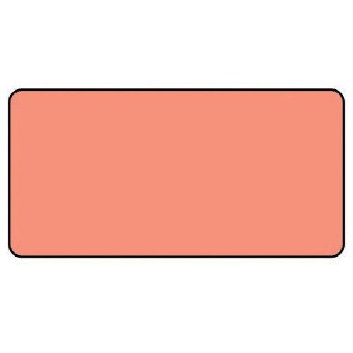 jbg@zǃXebJ[@Ԗnij@A