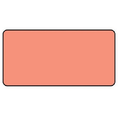 jbg@zǃXebJ[@Ԗnij@A