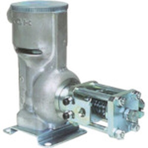 }_@ʃouO[Xpjfj|SOTlr