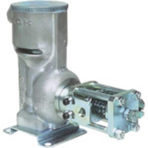 }_@ʃouO[Xpjfj|SOUlr