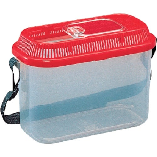 hqhr@RUPOPP@Ƃ肱@bh