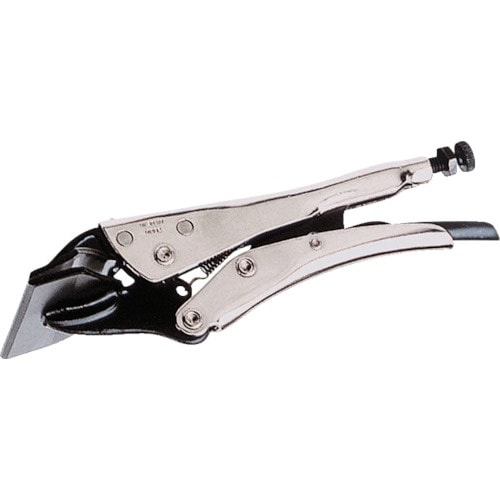 a`gbn@pEnڗpoCXvC[@őJ