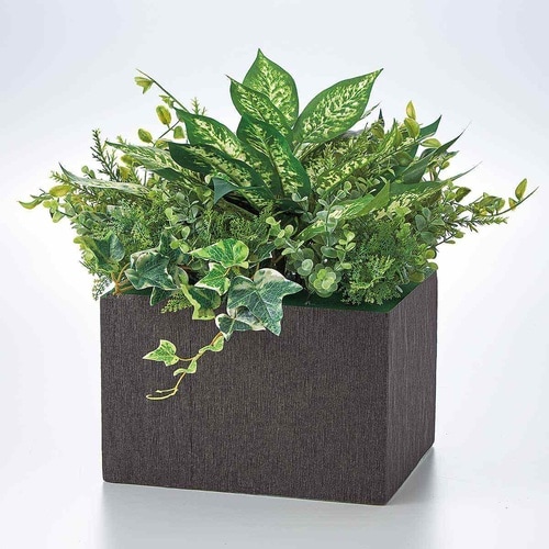 v^[anwO[@fBtFoLA~bNX