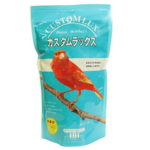 �J�X�^�����b�N�X�J�i����