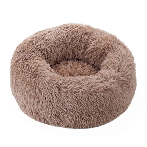 ybgxbg@ӂӂxbh@ybgp@x[W