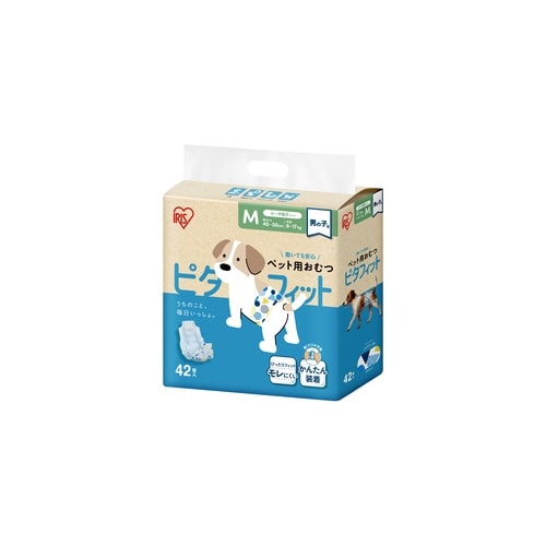 ybgpނs^tBbglSQ@j̎qp