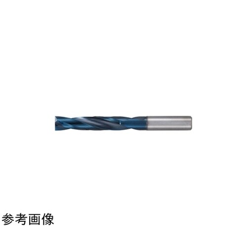 �A�N�A�h�����d�w