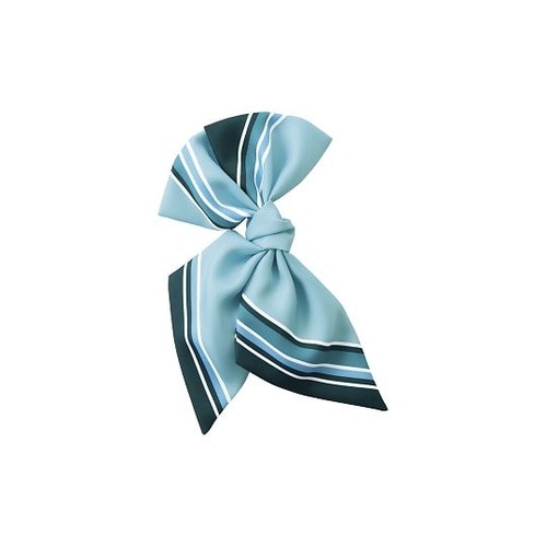 �X�J�[�t�u���[�`