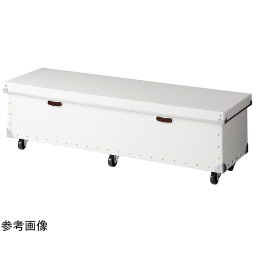 �t�@�C�o�[���[�{�b�N�X�@�L���X�^�[�t