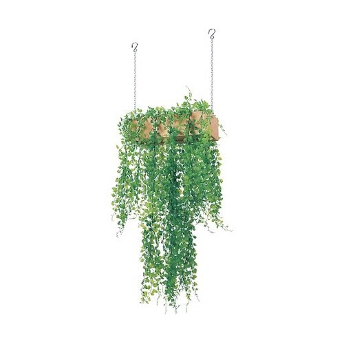 ハンギングポット