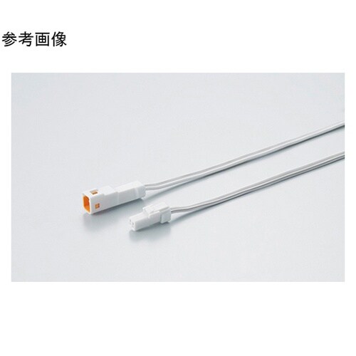 �`�o�k�d�c�p�����R�[�h