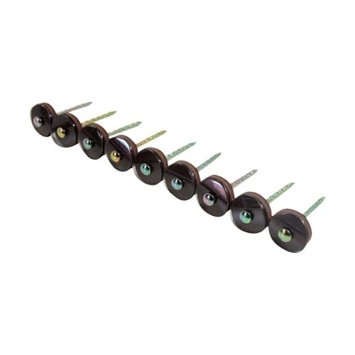 �|���J�[�{�l�C�g�A���P�B