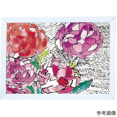 �v�����z��