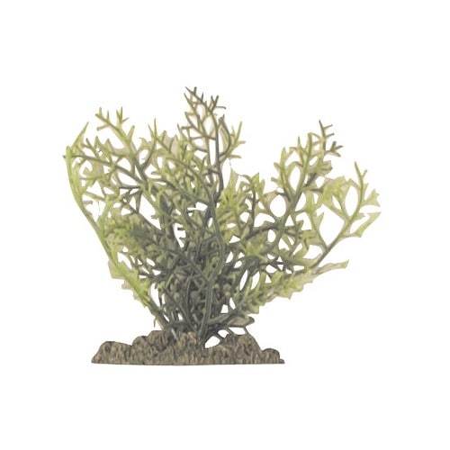 �A�N�A�e�B�b�N�v�����c