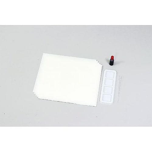 水墨画個人セット